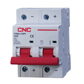 NC DC 2P 125A Circuit Battery Breakers 500V