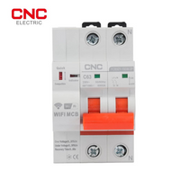 CNC YCB9ZF-100A 2P WiFi Smart Circuit Breaker – Remote Control & Protectio