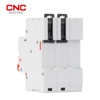 CNC YCB9ZF-100A 2P WiFi Smart Circuit Breaker – Remote Control & Protectio