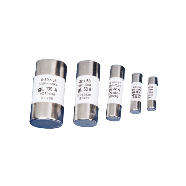 CNC AC Fuse + Holder 220V